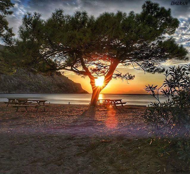 Sirius Hotel Dalyan Exteriér fotografie